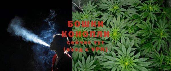 тгк Краснослободск