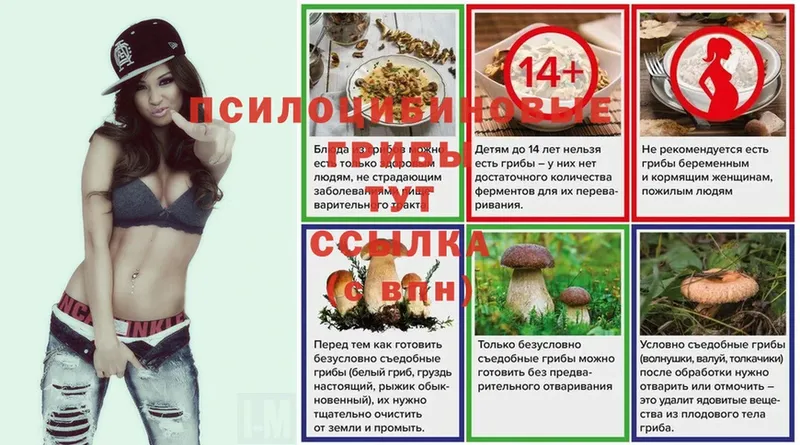 Галлюциногенные грибы Magic Shrooms  где купить наркоту  Орск 