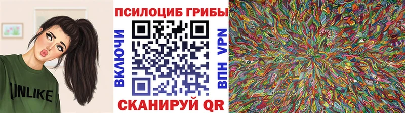 Галлюциногенные грибы Cubensis  Орск 