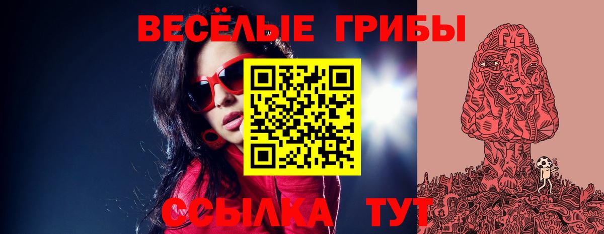 Галлюциногенные грибы Psilocybine cubensis Орск