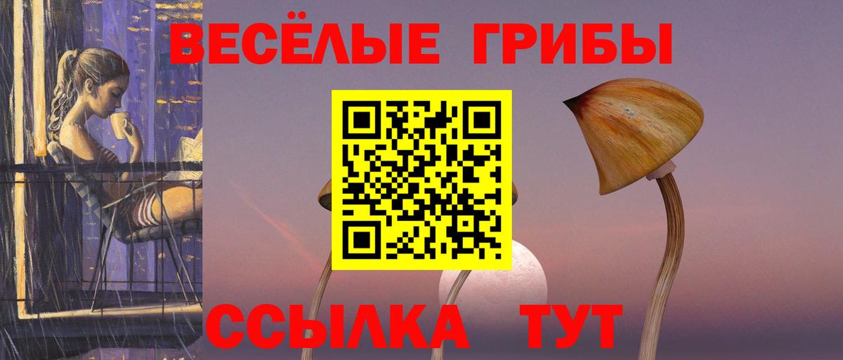 Псилоцибиновые грибы Psilocybine cubensis  Вход с VPN  Орск  Галлюциногенные грибы Cubensis 
