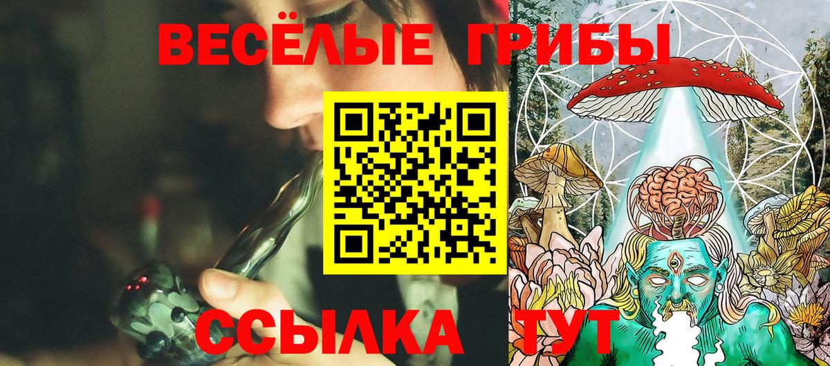 Псилоцибиновые грибы мухоморы Орск