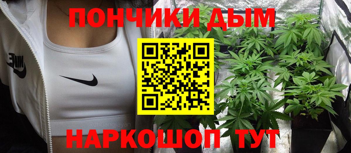 Каннабис семена  МАРИХУАНА семена  Орск  Каннабис SATIVA & INDICA  Марихуана ГИДРОПОН 